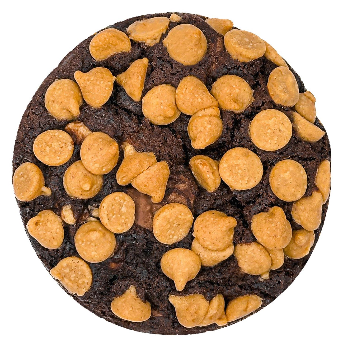 Peanut Butter Brownie