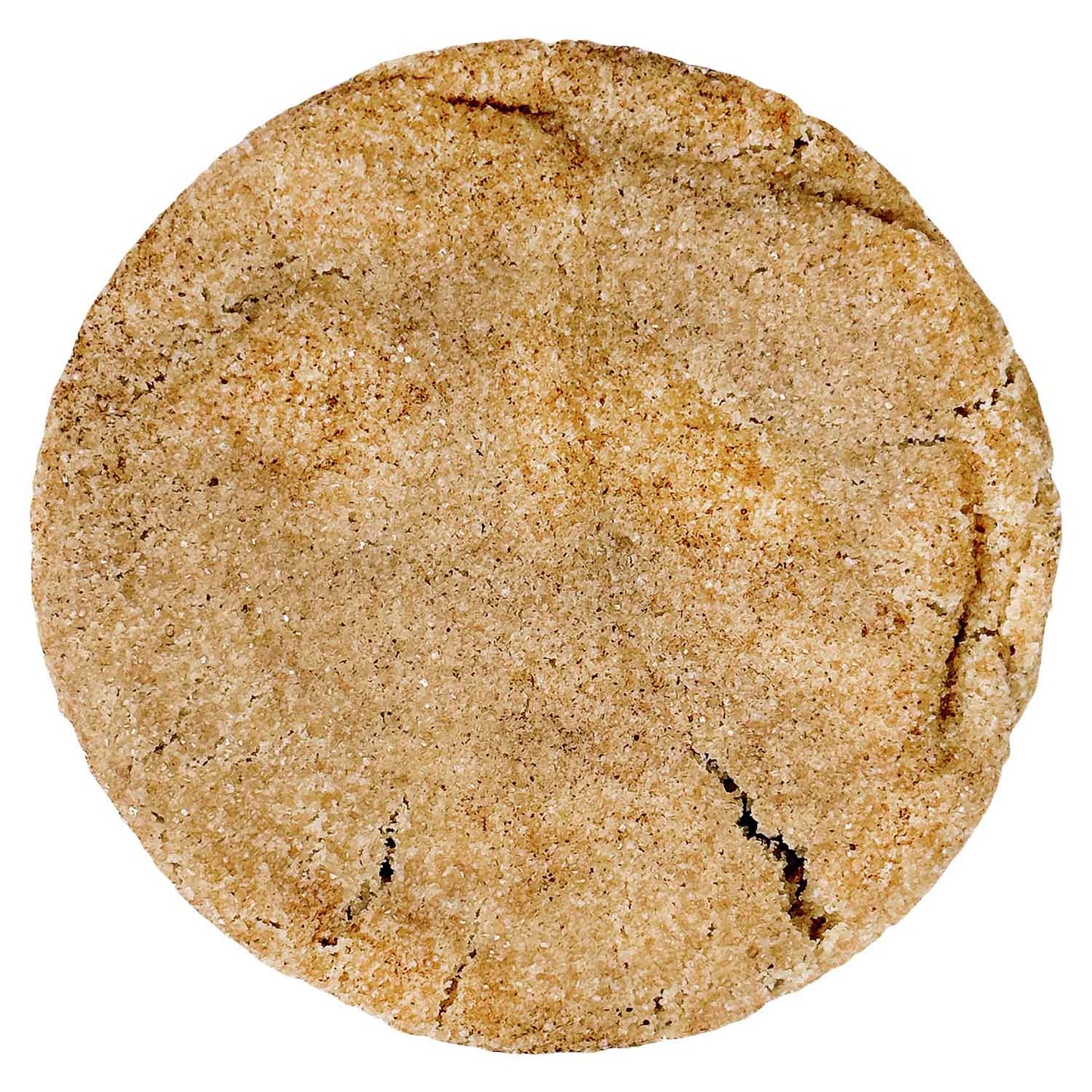 Snickerdoodle