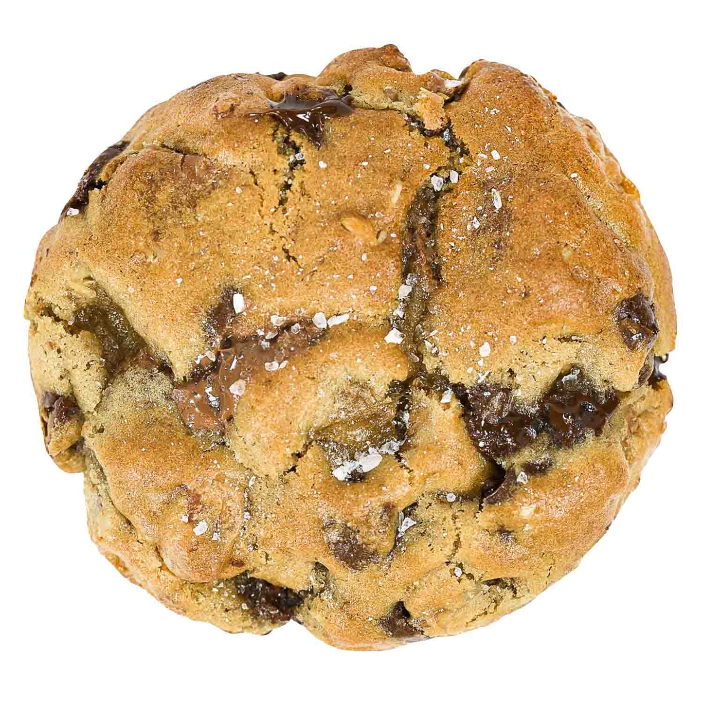 Chocolate Chip and Walnut